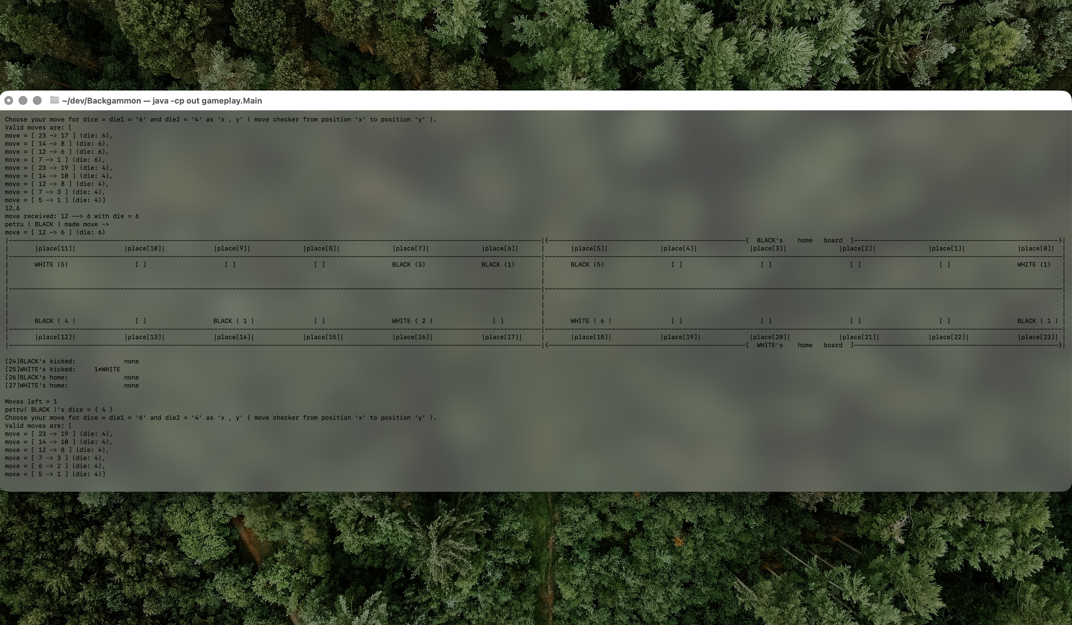 Backgammon (Java, CLI)