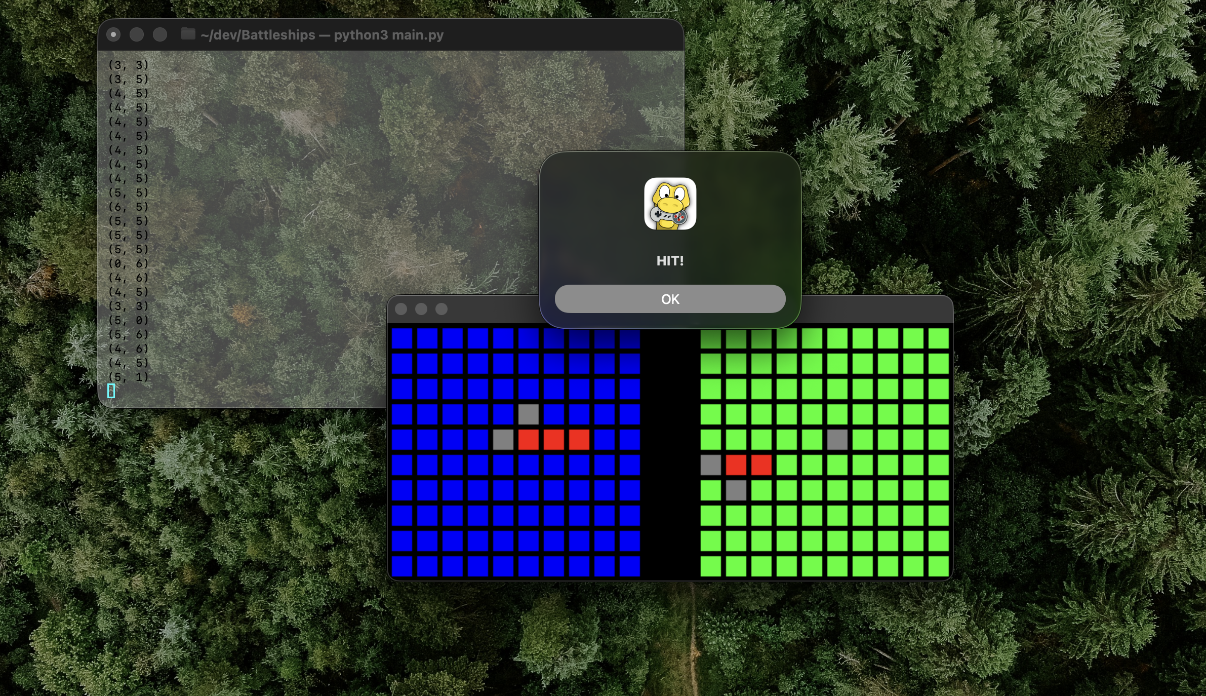 Battleships (Python, CLI)